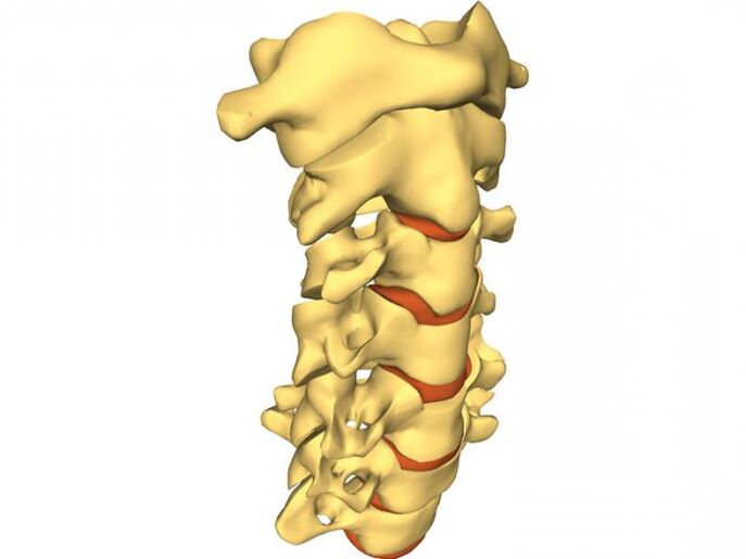 coloana vertebrală este predispusă la osteocondroză